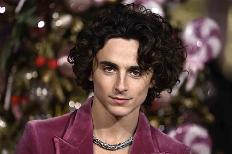 Timothée Chalamet’s daring red carpet evolution 